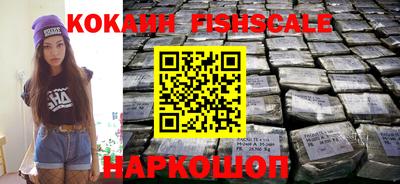 гашик Моздок