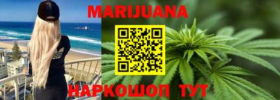 гашик Моздок