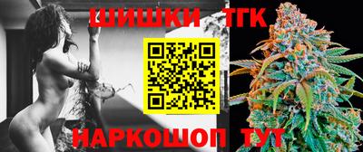 гашик Моздок