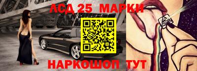 гашик Моздок