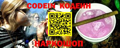 гашик Моздок