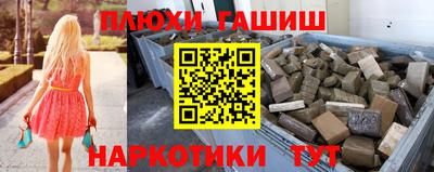 гашик Моздок