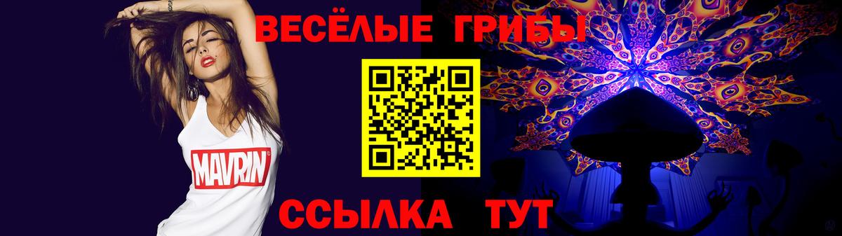 Галлюциногенные грибы GOLDEN TEACHER  Вход с VPN  купить наркотики цена  Татарск 